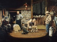 Shearing of a Pet Fine Art Print