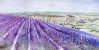 Lavender II Fine Art Print