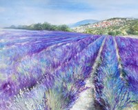 Lavender IV Fine Art Print