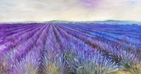 Lavender VI Fine Art Print