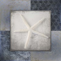 Blue Star Fish 2 Fine Art Print