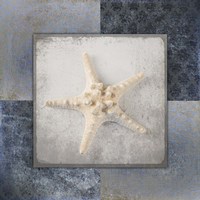 Blue Star Fish 3 Framed Print