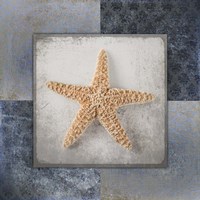 Blue Star Fish Framed Print