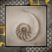 Gold Sea Scape 2 Framed Print