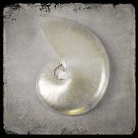 Golden Sea 1 Framed Print