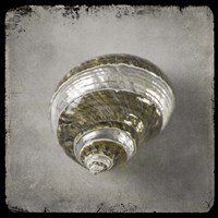 Golden Sea 3 Fine Art Print