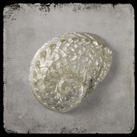 Golden Sea 4 Framed Print