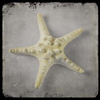 Golden Sea 5 Fine Art Print