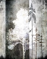 July Tree 2 Fine Art Print