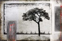 July Tree 3 Fine Art Print