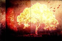 July Tree 4 Fine Art Print