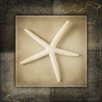 Light Gold Sea Warm 3 Fine Art Print