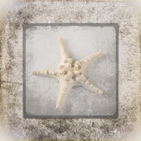 Stone Star 2 Fine Art Print
