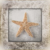 Stone Star Fine Art Print