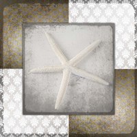 Vintage Natuical Star 3 Framed Print