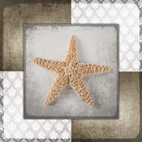 Vintage Natuical Star Framed Print