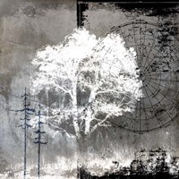 July Tree 10 Fine Art Print