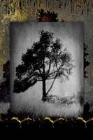 July Tree 6 Framed Print