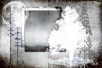 July Tree 7 Fine Art Print