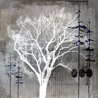 July Tree 8 Fine Art Print