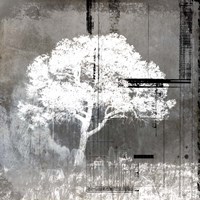 July Tree 9 Framed Print