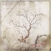 Sea Leaf 2 Fine Art Print