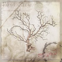 Sea Leaf 3 Fine Art Print