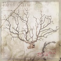 Sea Leaf Fine Art Print