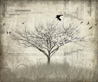 August Tree 1 Fine Art Print