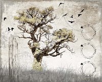 August Tree 3 Fine Art Print