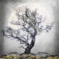 August Tree 5 Fine Art Print
