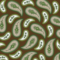 Camo Paisley 2.2 Fine Art Print
