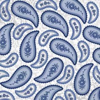 Camo Paisley 4 Blue 2 Fine Art Print