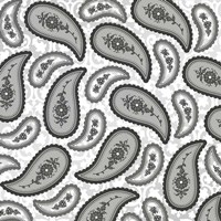 Camo Paisley 4 texture 3 Fine Art Print