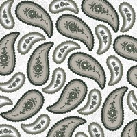 Camo Paisley 4 texture 4 Fine Art Print