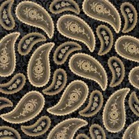 Camo Paisley 4 texture 5 Fine Art Print