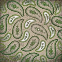 Camo Paisley Grunge Fine Art Print