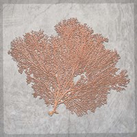 Decorative Sea Leaf 3 Framed Print