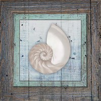 Framed Gypsy Sea V1 3 Framed Print