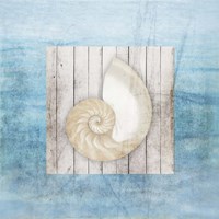 Framed Gypsy Sea V2 3 Framed Print