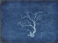 Gypsy Blue Cyanotype V2 Framed Print