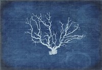 Gypsy Blue Cyanotype V3 Fine Art Print