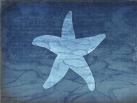 Gypsy Blue Cyanotype V6 Framed Print