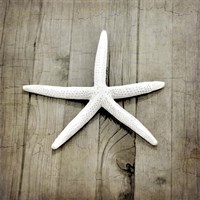 Gypsy Sea 1 Fine Art Print