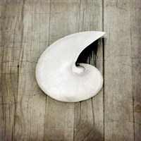 Gypsy Sea 3 Framed Print