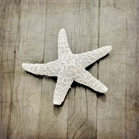 Gypsy Sea 4 Framed Print