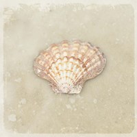 Gypsy Sea Brown 1 Fine Art Print