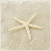 Gypsy Sea Brown 3 Fine Art Print