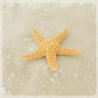 Gypsy Sea Brown 4 Fine Art Print