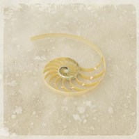 Gypsy Sea Brown 5 Fine Art Print